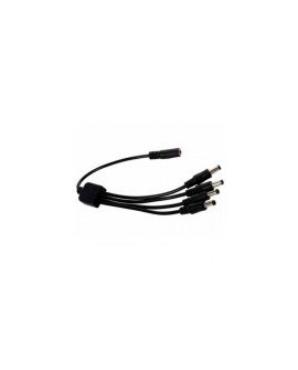 Cable QIAN QAY-60304 - Tipo Pulpo - 1 Hembra - 4 Macho - 2.1mm