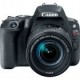 Cámara Canon EOS Rebel SL2 - 24.2 MP - Video Full HD 1080px - Wi-Fi - Bluetooth - Pantalla LCD Táctil 3" - Negro - Promo Canon