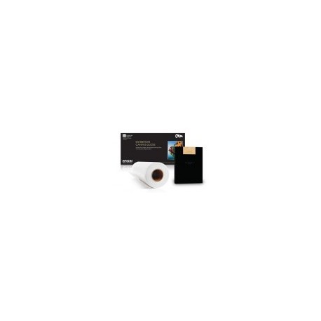 Papel Epson S045079 - 17" x 164 Pies - Blanco