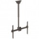 Base Soporte StarTech.com - Vesa Ajustable  - Techo - para Pantallas 37" a 70"