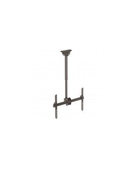 Base Soporte StarTech.com - Vesa Ajustable  - Techo - para Pantallas 37" a 70"