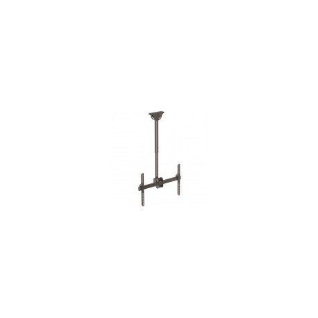 Base Soporte StarTech.com - Vesa Ajustable  - Techo - para Pantallas 37" a 70"