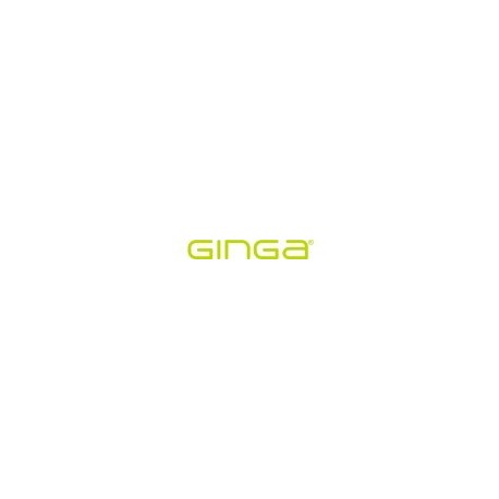 Paquete de 5 Cubos Cargadores Ginga - Salida USB - Varios Colores