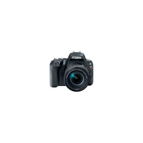 Cámara Canon EOS Rebel SL2 - 24.2 MP - Video Full HD 1080px - Wi-Fi - Bluetooth - Pantalla LCD Táctil 3" - Negro - Promo Canon